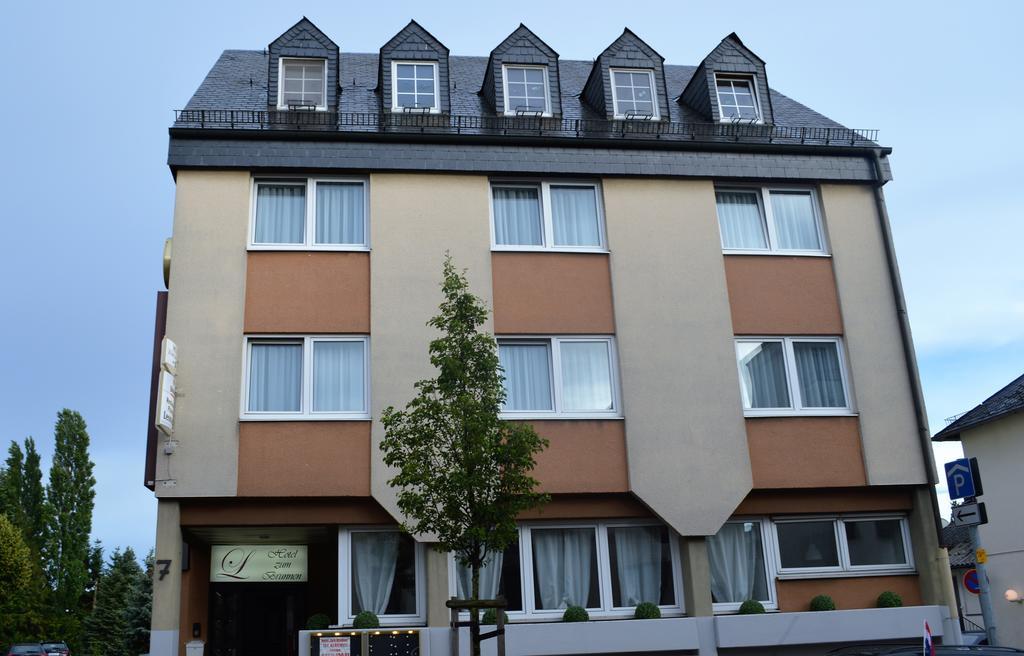 Hotel Zum Brunnen Steinbach im Taunus Exteriér fotografie